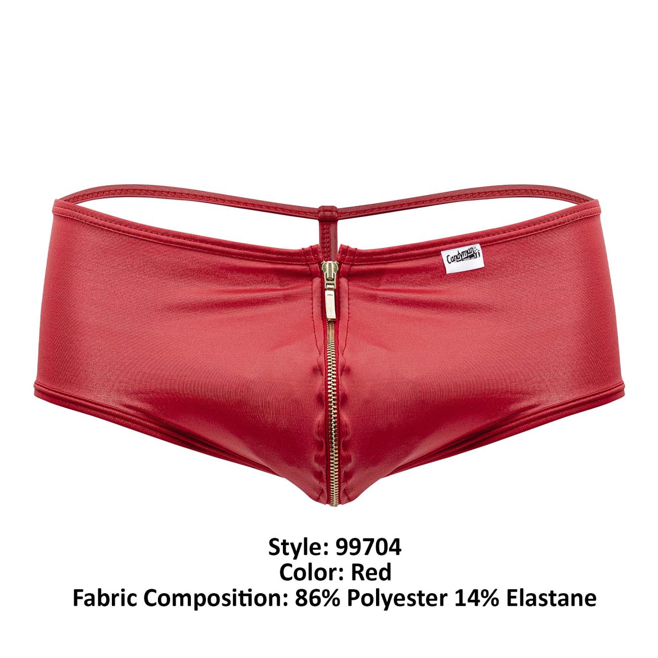 CandyMan Fashion Bikini and Briefs Lingerie Underwear for Men - Picture 110 of 118