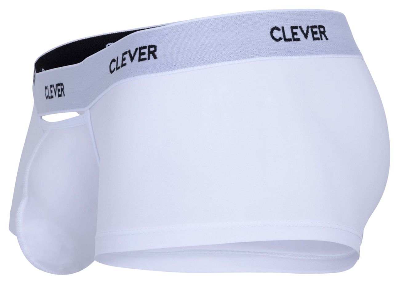 Clever Masculine Male Boxer Briefs Trunks Underwear for Men. Ropa Colombiana - Picture 220 of 238