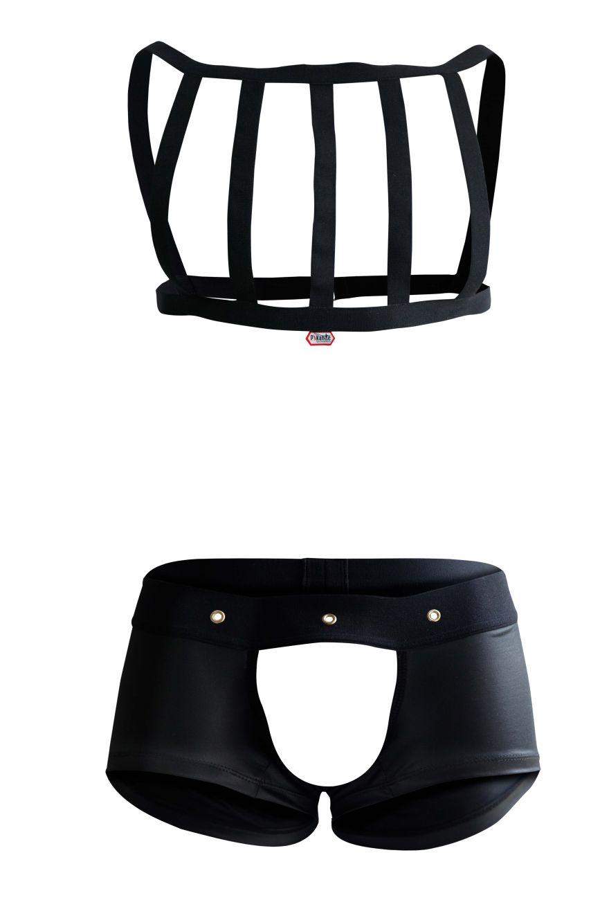 Pikante Lingerie and Thongs Underwear Jockstrap for Men. Lingerie for Men - Picture 55 of 226