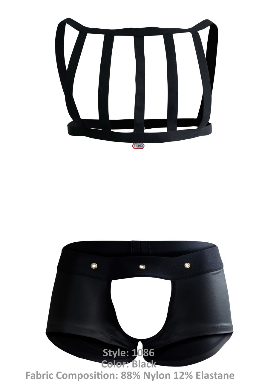 Pikante Lingerie and Thongs Underwear Jockstrap for Men. Lingerie for Men - Picture 58 of 226